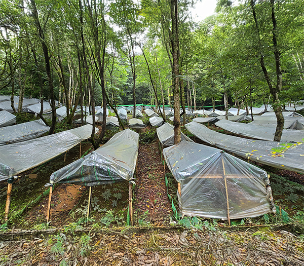 CÔNG TY TNHH TAM DƯƠNG BẮC