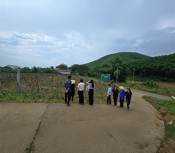 CÔNG TY TNHH TAM DƯƠNG BẮC