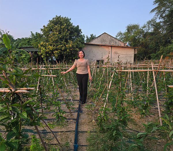 CÔNG TY TNHH TAM DƯƠNG BẮC